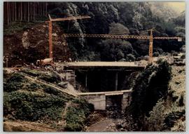 Ponte da Despe-te-que-suas