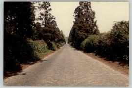 Reta da Achada antes da construção da Via Rápida da Terceira