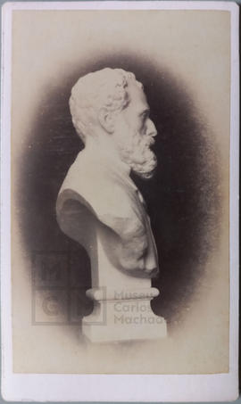Busto