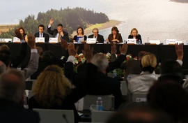 Votação dos trabalhos que decorreram na 20.ª Reunião da Comissão dos Recursos Naturais do Comité ...