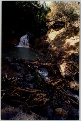 Destroços de árvores, madeiras e pedras na ribeira da Povoação