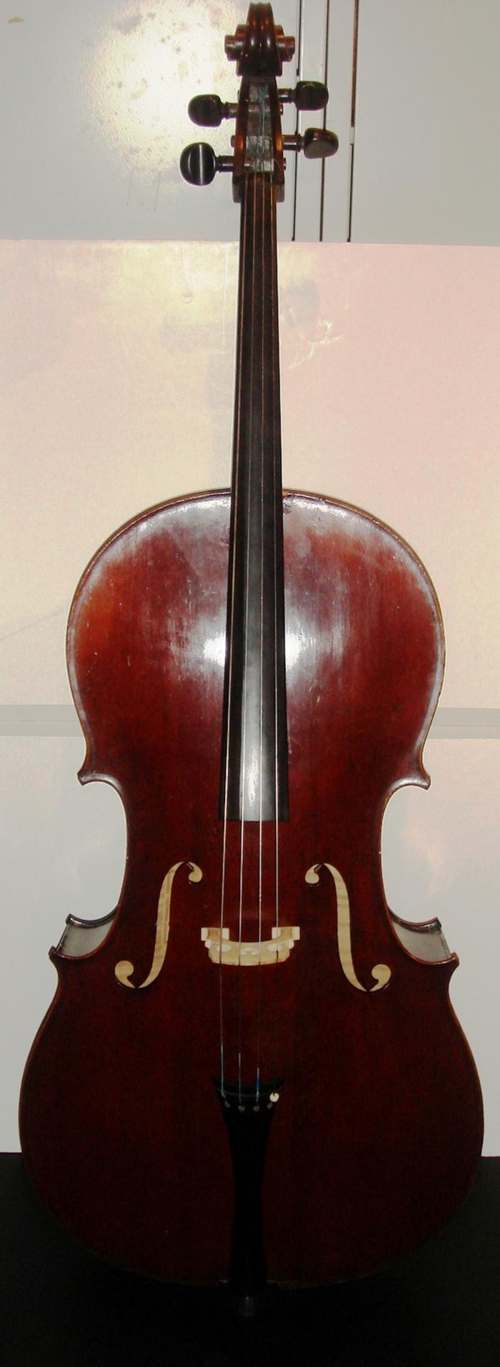 Violoncelo