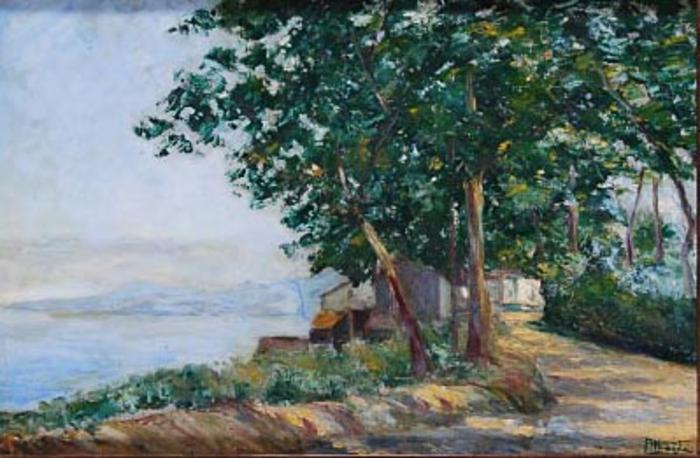 Ilha de São Miguel - Costa Norte