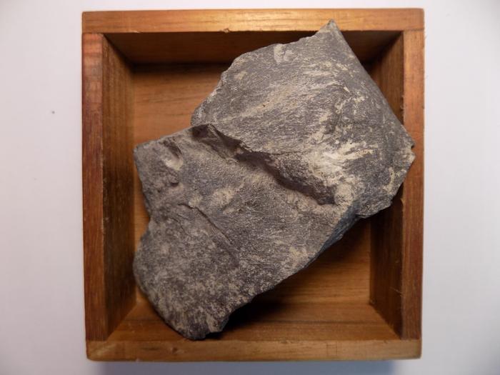 Amostra geológica do Túnel das Sete Cidades