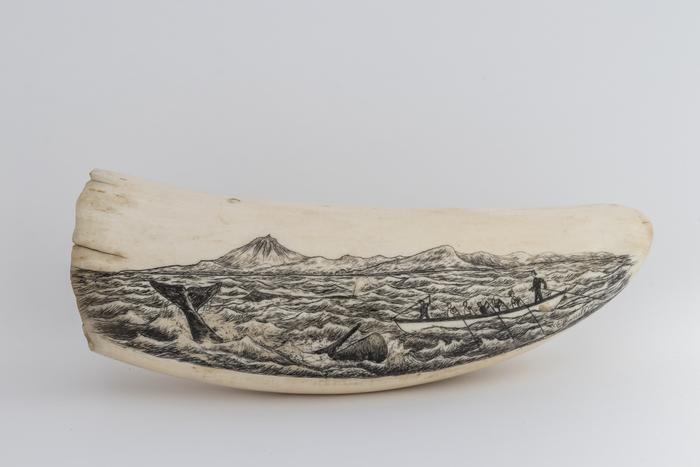 Dente de cachalote