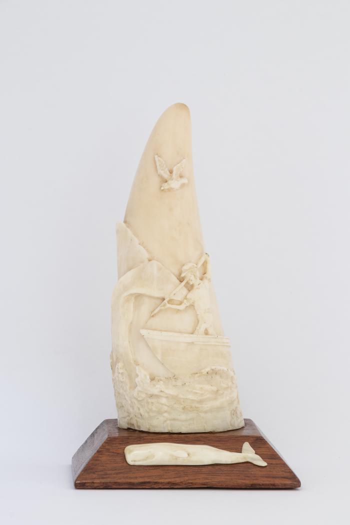 Dente de cachalote