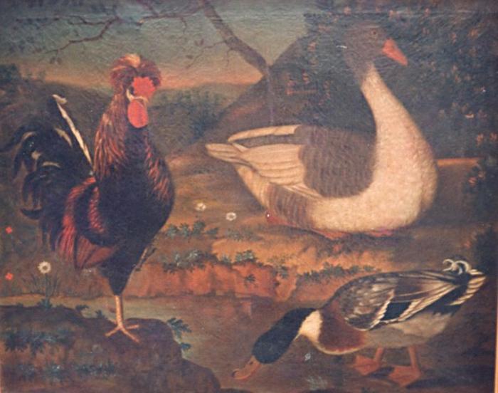 Natureza morta com aves