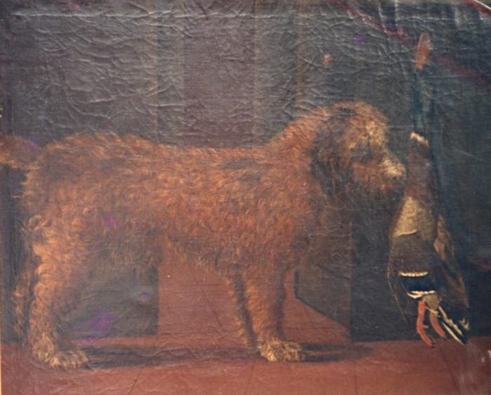 Cão de Caça (Frente)