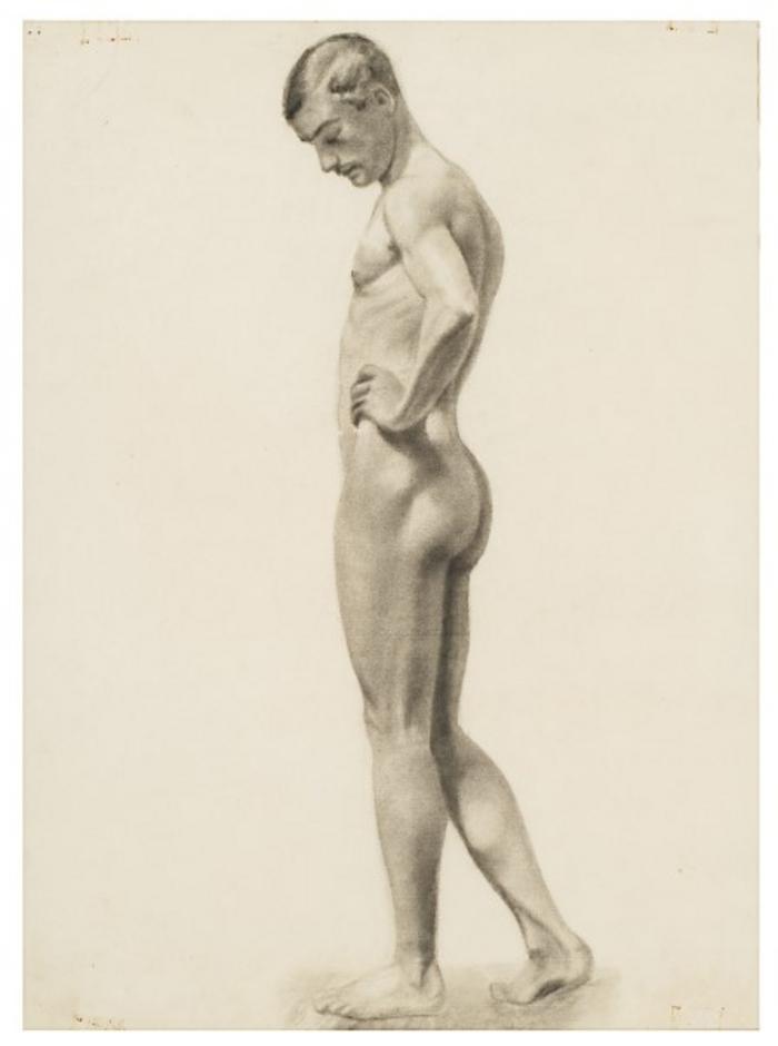 Académia de nu masculino