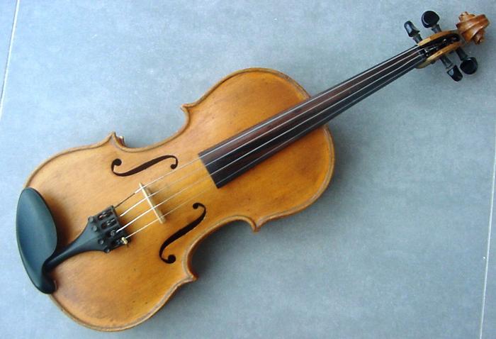 Violino