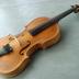 Violino