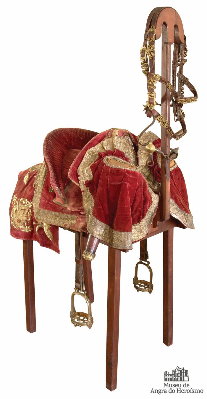 Arreio de montada rico