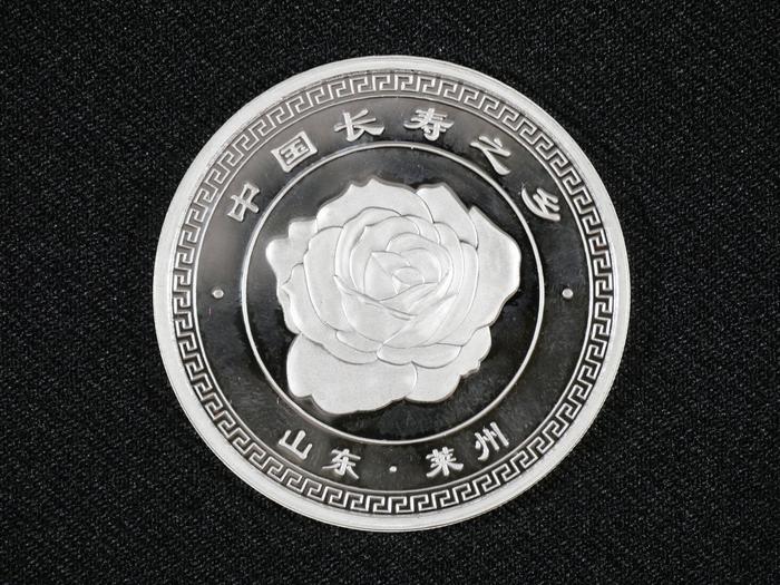 Medalha do Shandong Chengyuan Salt Chemical Group