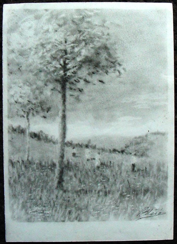 Desenho - Trabalhos no Campo 