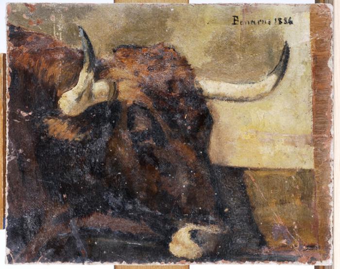 Cabeça de Touro